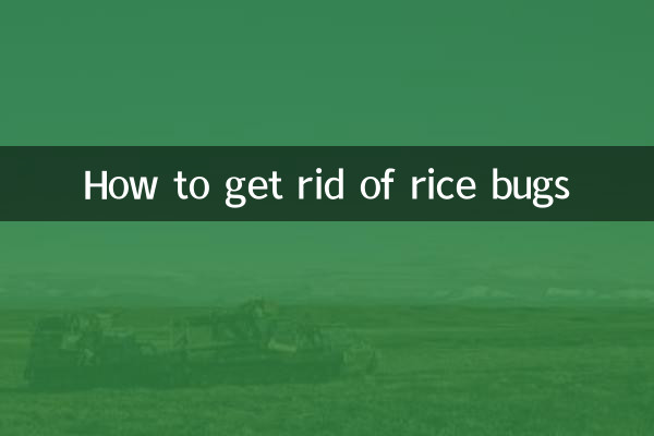 How to get rid of rice bugs