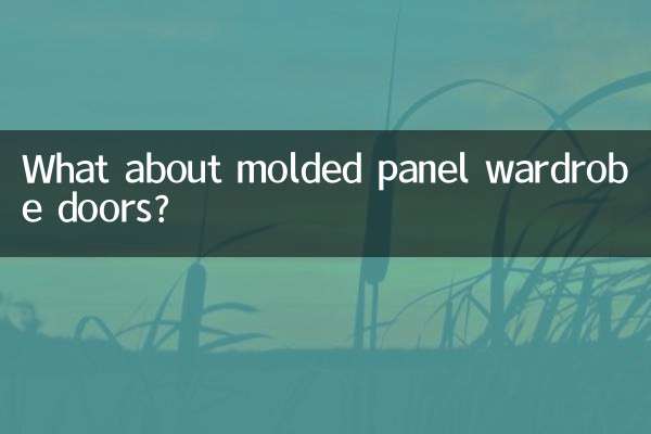 ڈھالے ہوئے پینل الماری کے دروازوں کے بارے میں کیا خیال ہے؟