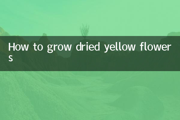 सूखे पीले फूल कैसे उगायें