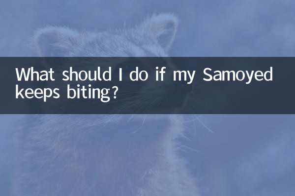 ماذا علي أن أفعل إذا استمر السامويد في العض؟