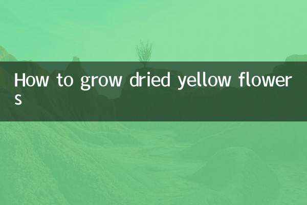 干黄花怎么发