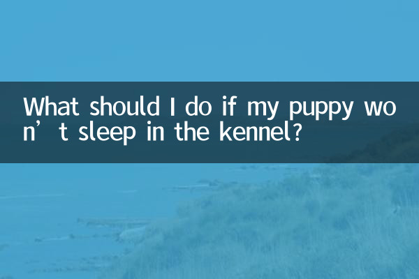 Cosa devo fare se il mio cucciolo non dorme nel canile?