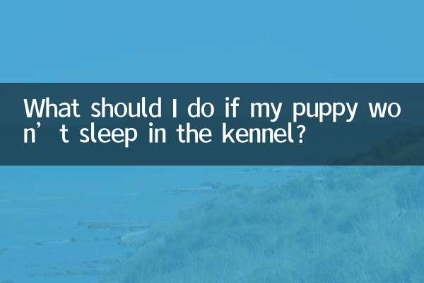 ¿Qué debo hacer si mi cachorro no quiere dormir en la perrera?
