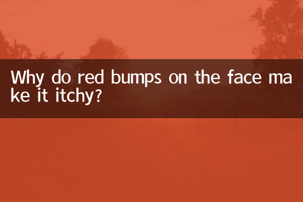 얼굴에 빨간 돌기가 생기면 왜 가렵나요?