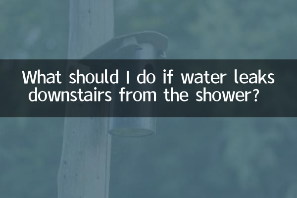 Was soll ich tun, wenn aus der Dusche unten Wasser austritt?