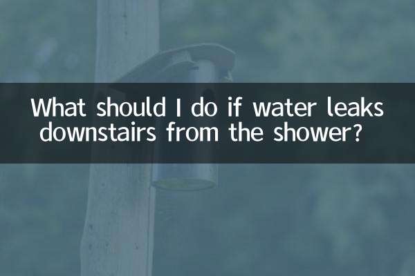 Was soll ich tun, wenn aus der Dusche unten Wasser austritt?