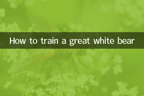 Wie man einen Weißen Bären trainiert