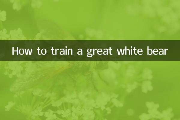 Wie man einen Weißen Bären trainiert