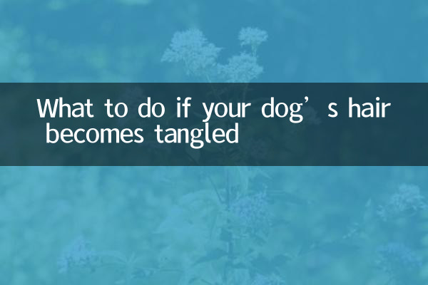 Что делать, если у собаки путается шерсть