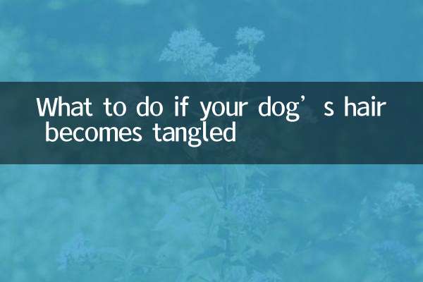 O que fazer se o cabelo do seu cachorro ficar emaranhado