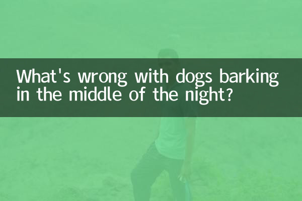 Was ist falsch daran, dass Hunde mitten in der Nacht bellen?