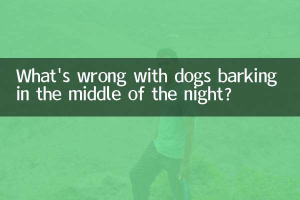 Was ist falsch daran, dass Hunde mitten in der Nacht bellen?