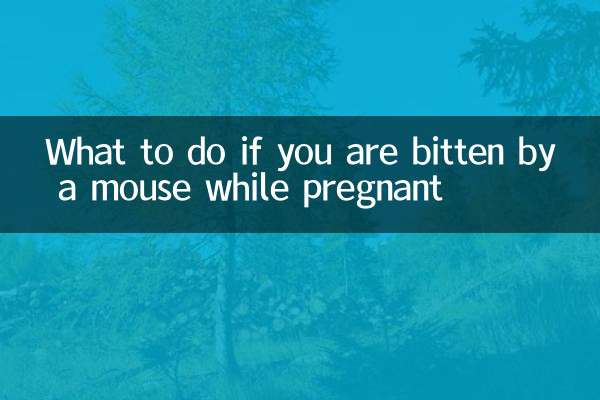 怀孕被老鼠咬了怎么办