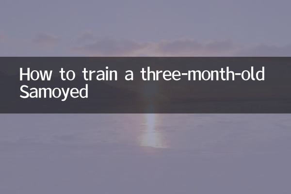 三個月薩摩耶怎麼訓練