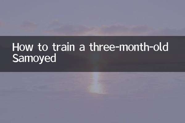 三個月薩摩耶怎麼訓練