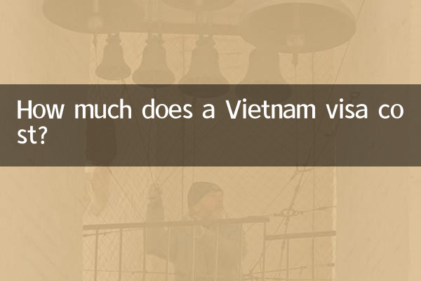 베트남 비자 비용은 얼마입니까?