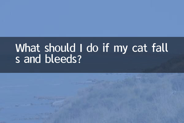 Cosa devo fare se il mio gatto cade e sanguina?