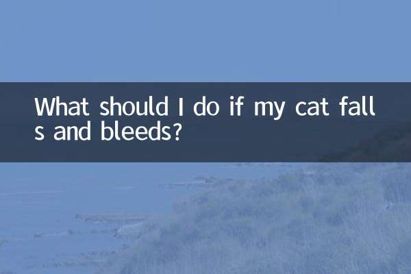 اگر میری بلی گرتی ہے اور خون بہتا ہے تو مجھے کیا کرنا چاہئے؟