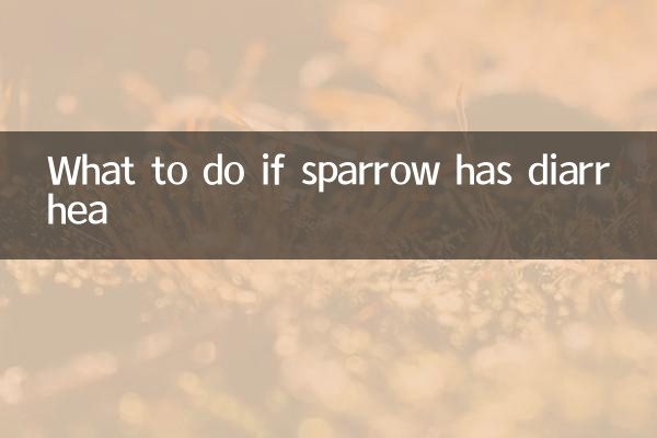 麻雀拉肚子怎麼辦