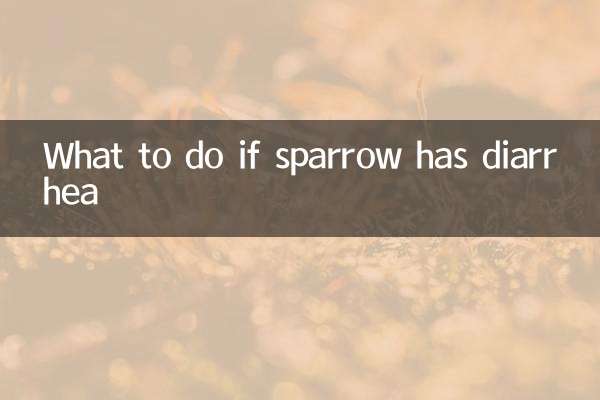 Cosa fare se il passero ha la diarrea