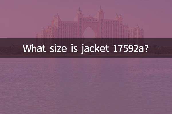 夹克17592a是什么尺码