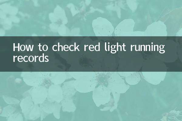 赤信号の走行記録を確認する方法