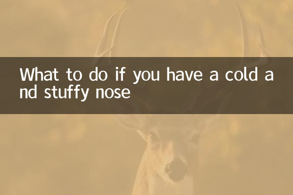 Was tun bei Erkältung und verstopfter Nase?