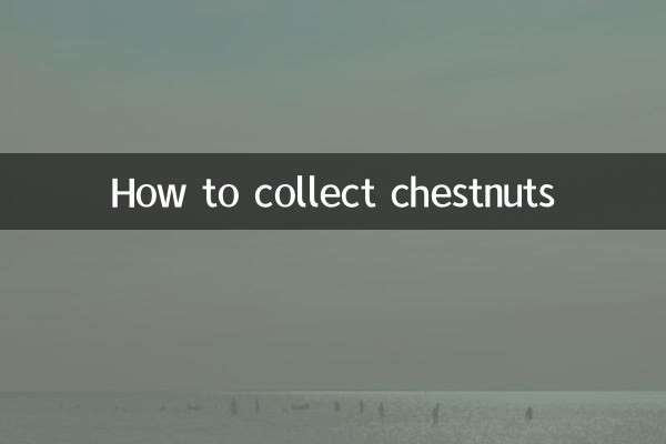 板栗的怎么收藏
