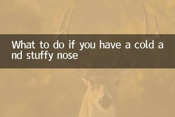 感冒鼻子不通怎么办