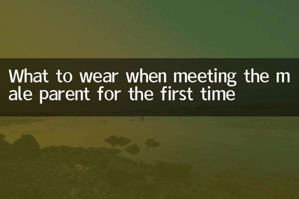 男親と初めて会うときの服装