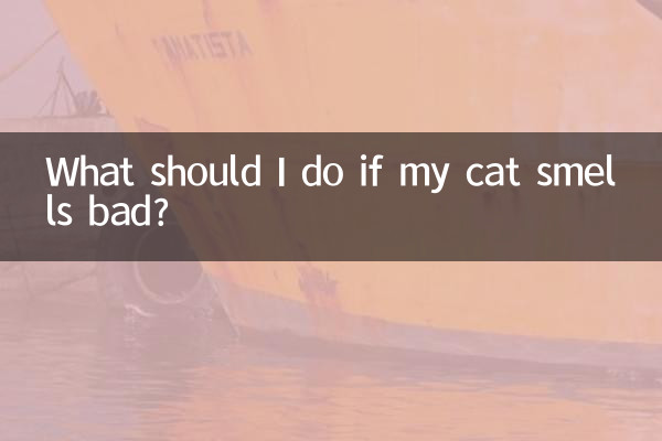 What should I do if my cat smells bad?