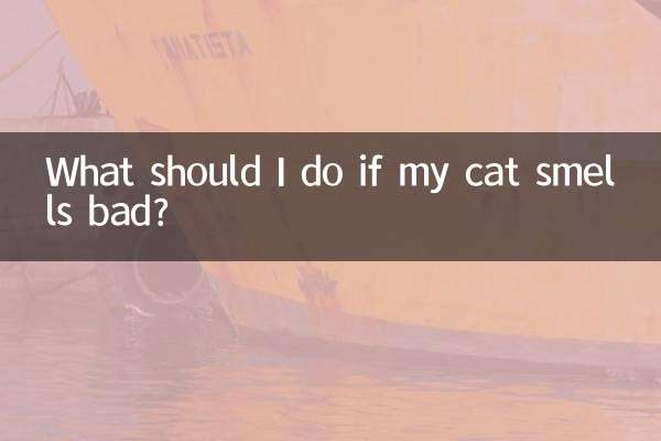 अगर मेरी बिल्ली से बदबू आ रही हो तो मुझे क्या करना चाहिए?