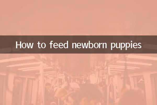 نوزائیدہ پپیوں کو کیسے کھانا کھلانا ہے