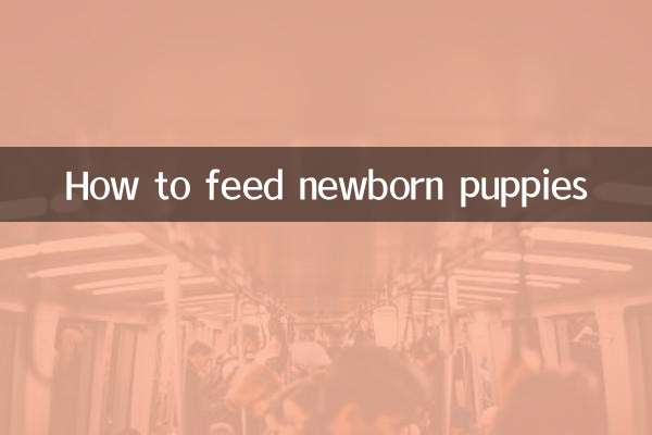 갓 태어난 강아지에게 먹이를 주는 방법