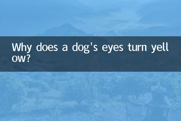 چرا چشمان سگ زرد می شود؟