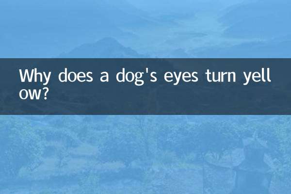 چرا چشمان سگ زرد می شود؟