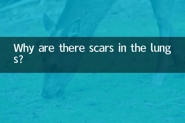 لماذا توجد ندوب في الرئتين؟