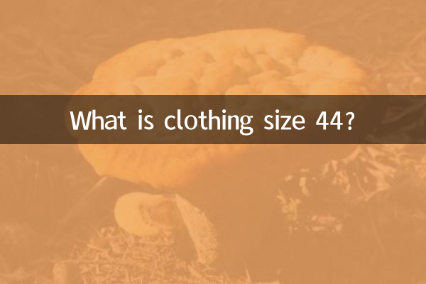 의류 사이즈 44는 무엇입니까?