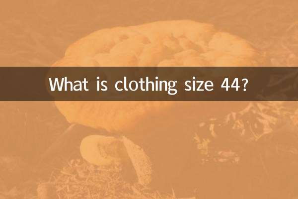 의류 사이즈 44는 무엇입니까?