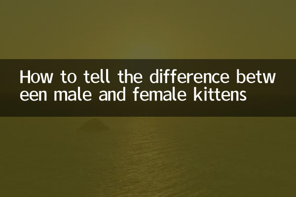 مرد اور خواتین کے بلی کے بچوں کے درمیان فرق کیسے بتائیں