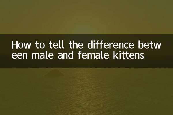 नर और मादा बिल्ली के बच्चे के बीच अंतर कैसे बताएं