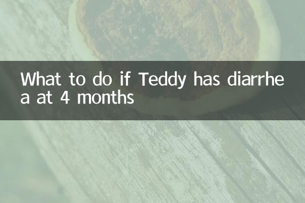 4個月泰迪拉稀怎麼辦