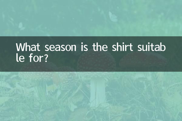 Для какого сезона подойдет рубашка?