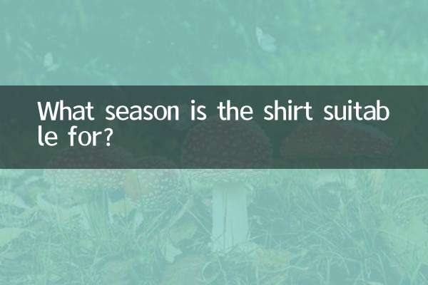 Per quale stagione è adatta la maglietta?