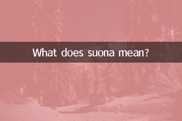 Que signifie Suona ?