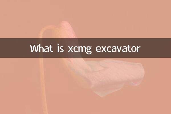 Was ist XCMG Bagger