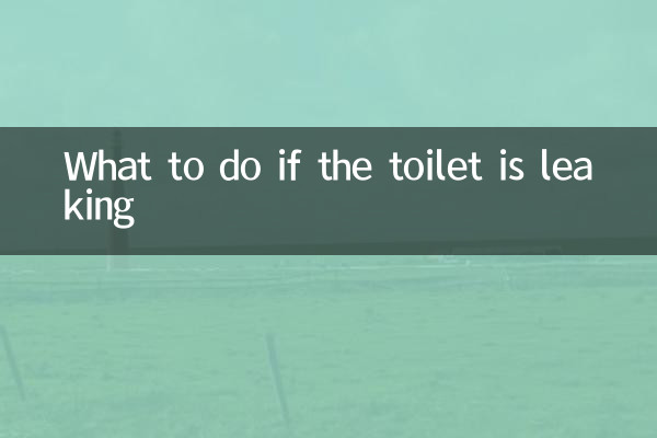 トイレが漏れている場合はどうすればよいですか