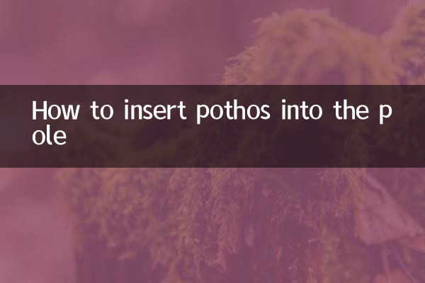 Come inserire il pothos nel palo