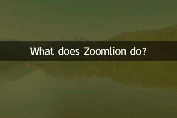 What does Zoomlion do?