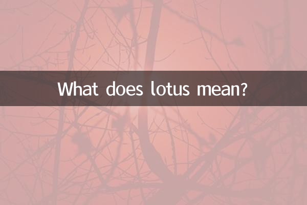 نیلوفر آبی یعنی چه؟